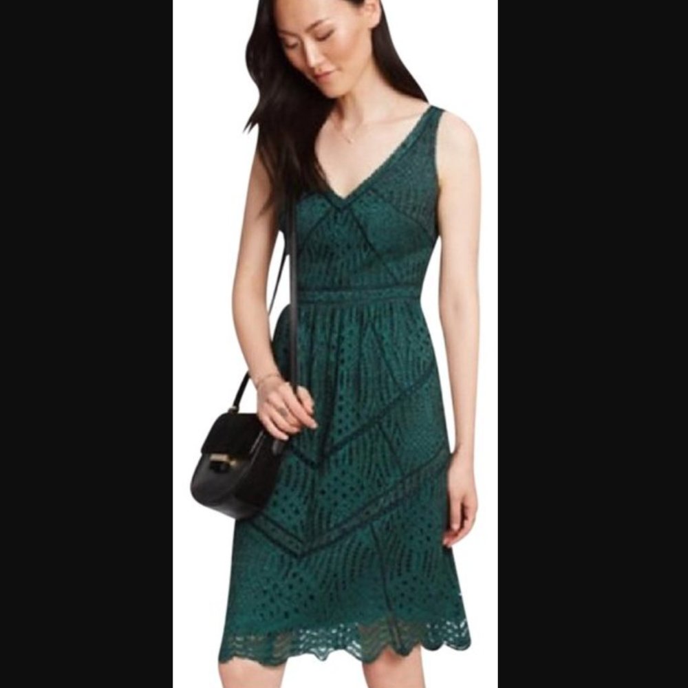 Ann Taylor Deep Green Lace Embroidered Dress